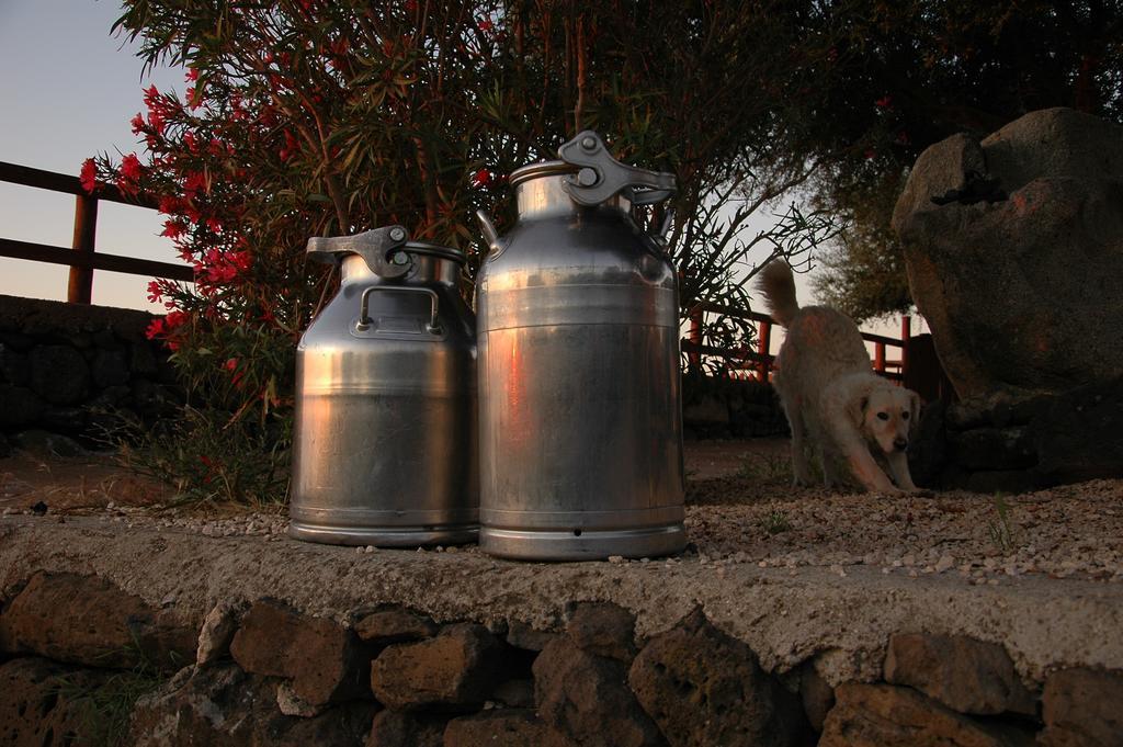 Agriturismo Codula Fuili Cala Gonone Exteriér fotografie